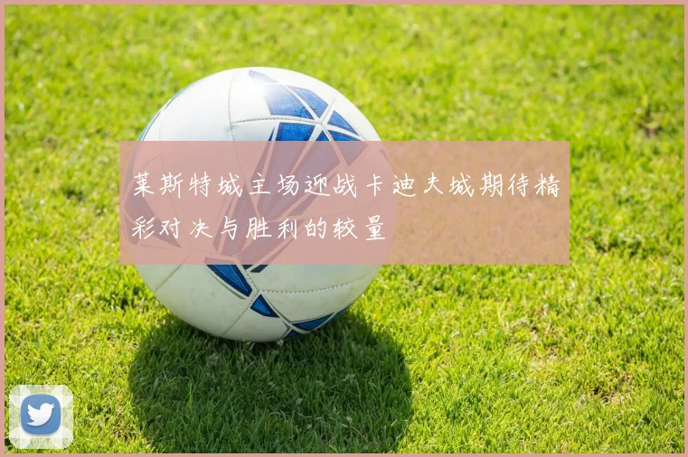 莱斯特城主场迎战卡迪夫城期待精彩对决与胜利的较量