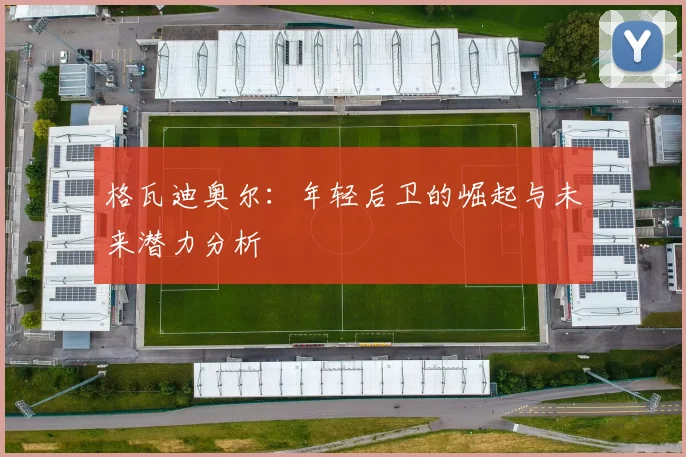 格瓦迪奥尔：年轻后卫的崛起与未来潜力分析