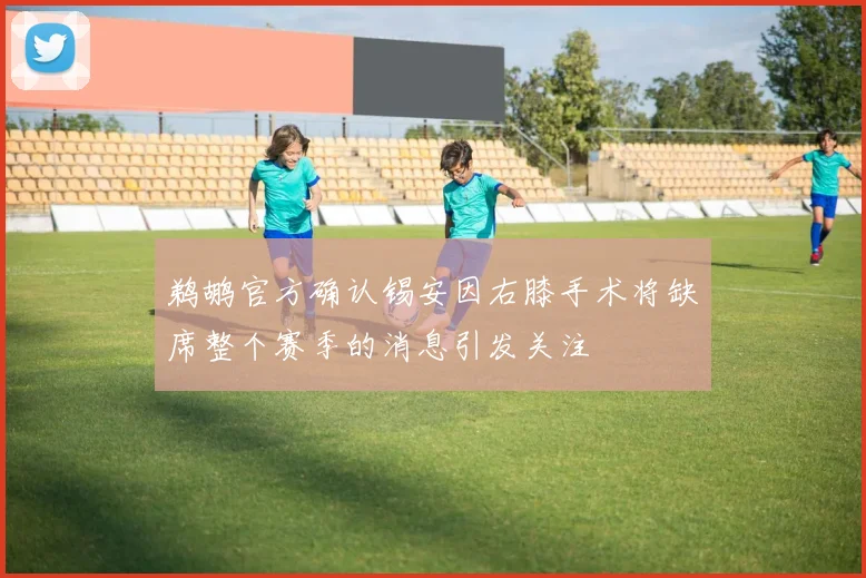 鹈鹕官方确认锡安因右膝手术将缺席整个赛季的消息引发关注